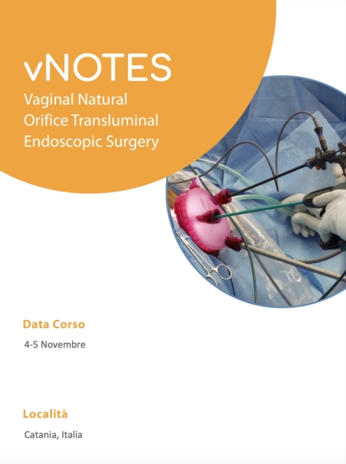 2022 - vNOTES Vaginal Natural Orifice Transluminal Endoscopic Surgery ...